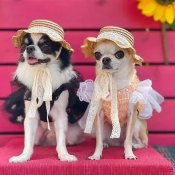 2023 Yeni Pet Şapka Kedi Köpek Yaz Dantel Çim Şapka Sevimli Pet Şapkalar Soyunma