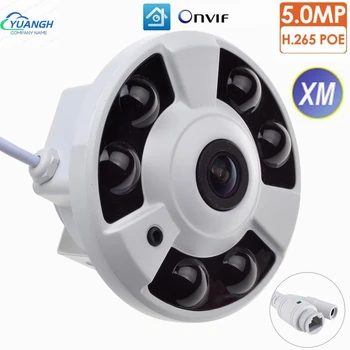 5MP Güvenlik Ev IP Kamera POE Kapalı 180 Derece 1.7 mm Lens H. 265 Vandalproof Metal Dome ağ kamerası