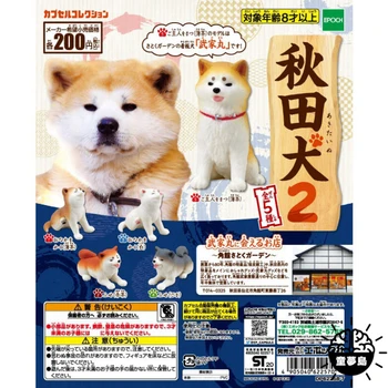 TARLİN Gashapon Şekil Anime Kawaii Japon Akita Shiba Inu Köpek Minyatür Gacha Heykelcik Sevimli Kapsül Oyuncak Bebek Aksesuarları